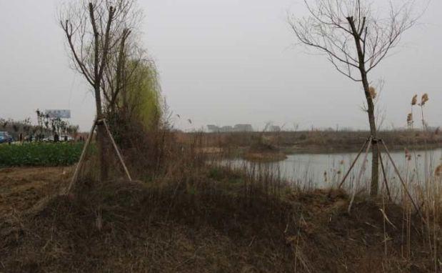 「你的育儿经」高居儿童意外死亡原因榜首，孩子频繁溺水的锅谁来背？
