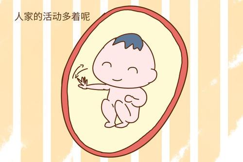 「你的育儿经」和妈妈合体的日子，胎儿在肚子里都做些啥？原来活动竟如此丰富