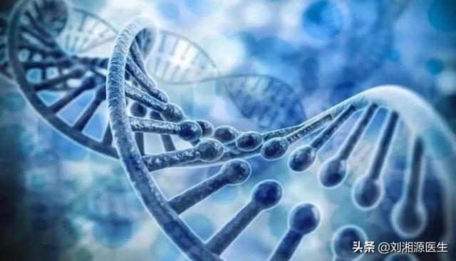 【超级宝妈】【前沿传递】产前超声可确定妊娠三倍体胎儿的父母来源