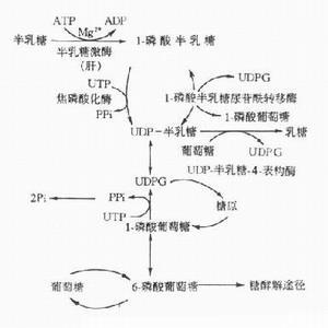 儿童罕见病：不能喝奶的孩子，一文带你认识半乳糖血症