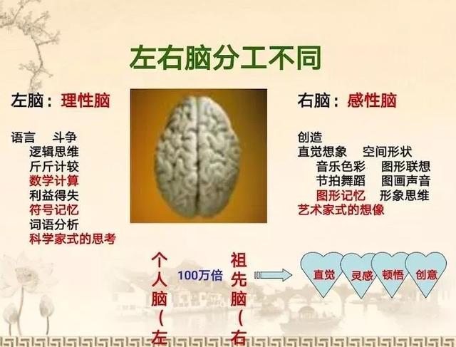 #超级宝妈#幼儿识字的理论与实践