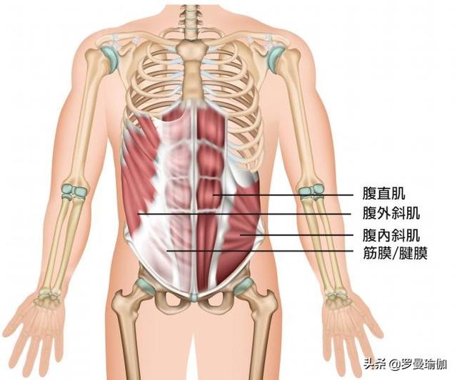 超级宝妈▲产后肚子息下垂可能不是胖？小心是你「腹肌分离」