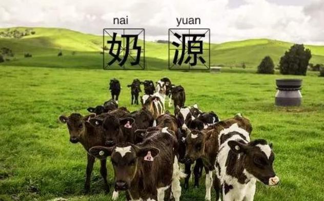 [超级宝妈]奶粉真的越贵越好？200和400块之间到底有何区别？业内人道出真相