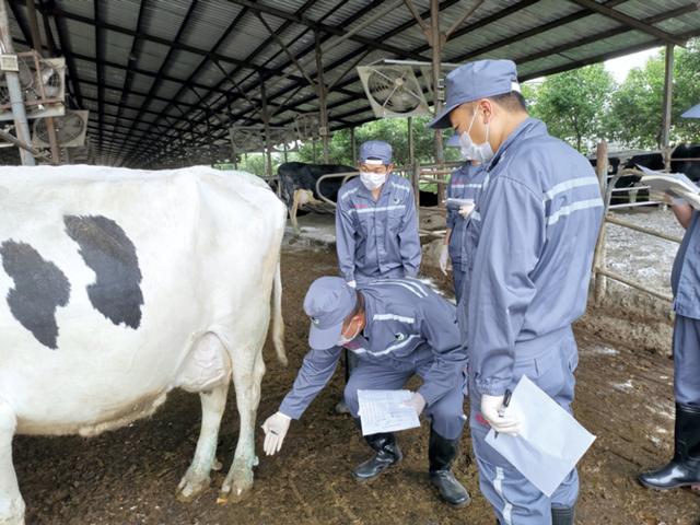 伊利再赴世界互联网大会，推动乳业智能化转型