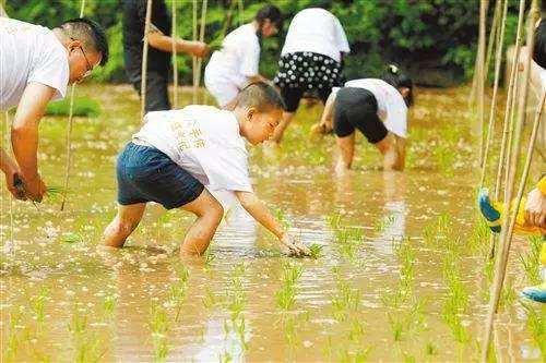 「你的育儿经」我的上海亲子游，不去传统景点，这些地方全是孩子喜欢的
