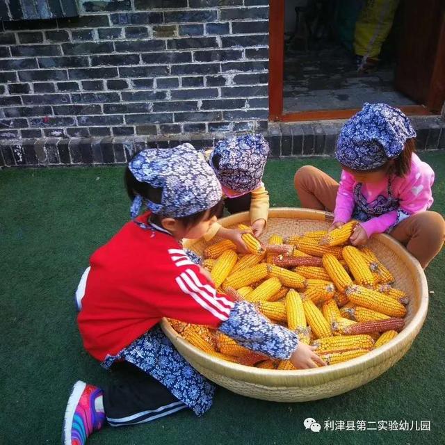 你的育儿经|“利津游戏”在幼教圈那么火，我们可以怎么学？