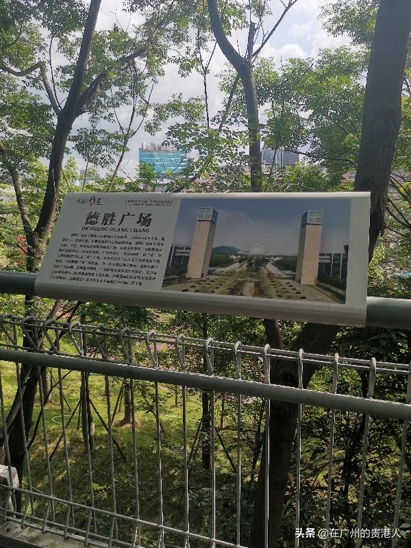 【山楂味的诗】走马观花,看顺德大良。