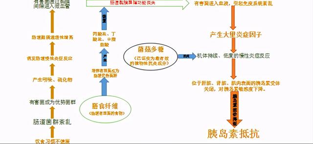 案例：2型糖尿病友血糖一周从8.5降到5，减胰岛素二甲双胍