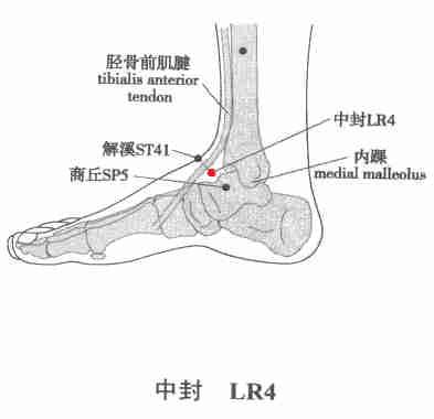 12经穴调养身体，让你平安过寒冬