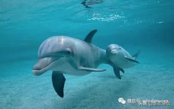 「你的育儿经」亲子关系是一条时间的河流
