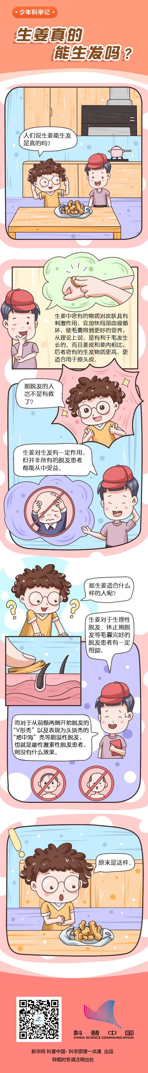 原理|生姜真的能生发吗？