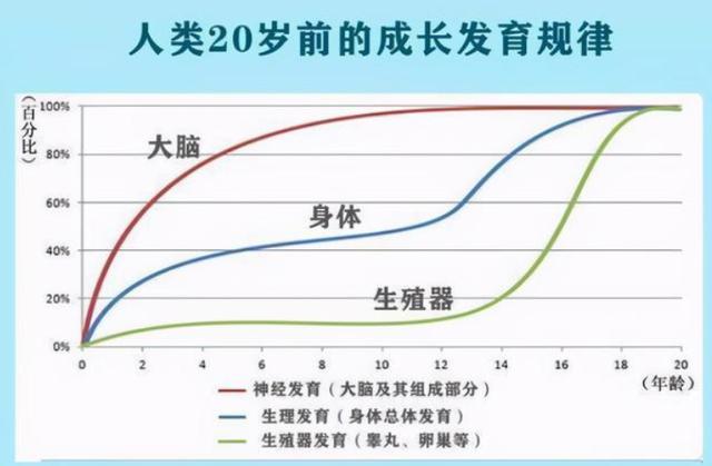 哈佛研究发现：孩子一生有3次变聪明的机会，但并不是“初中”