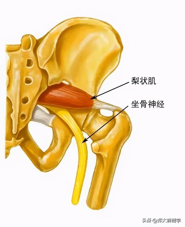 腰骶部手法治疗