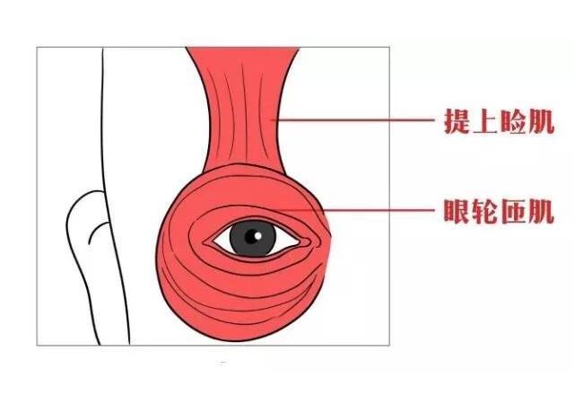 「超级宝妈」新生儿最晚多久睁开眼?通常在这个时间范围内,注意3点呵护眼睛