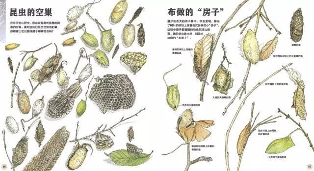 超级宝妈|小孩在日本上学是怎样一种体验？在日华人妈妈告诉真实日本学习