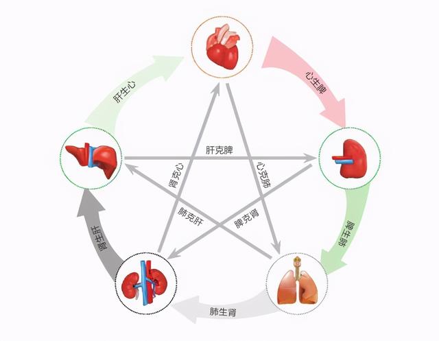 《奇病论》里都有记载哪些“奇病”？