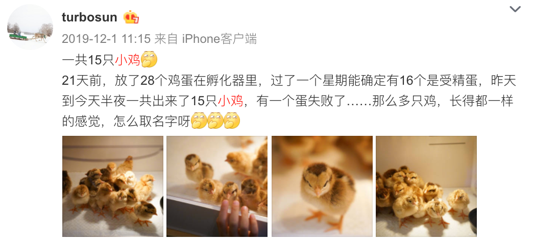 『暖先生格调』刘真去世，4岁女儿不知道妈妈走了？几岁可以和孩子谈生死？