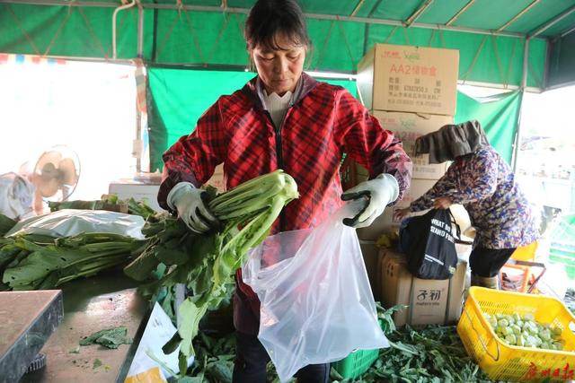 2020年广州（增城）菜心美食节25日开幕