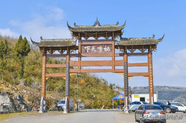 #旅行柚子君#云赏花 | 播州桃李石溪花开了!诗意般的画面,雪白一片~