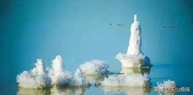 『旅行柚子君』待“疫”去春来,在新疆乌鲁木齐等你