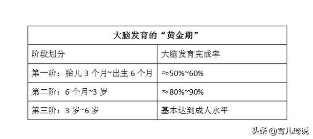 「超级宝妈」想让孩子更聪明？抓住大脑发育黄金期是关键，这几点你做到了吗