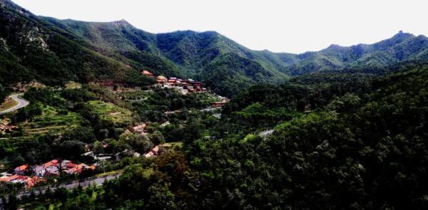 扇贝|威海春日山海滋味，等你来品