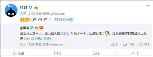 「观察者网」开工第1天，钉钉企业微信都崩了