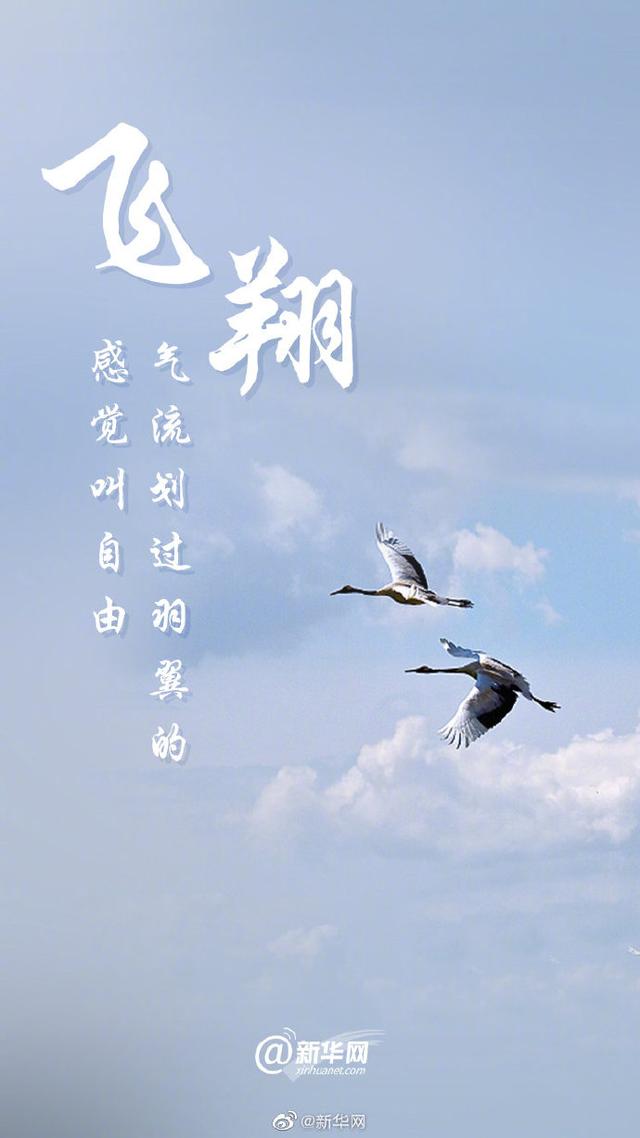 关爱环境 刻不容缓|光明网