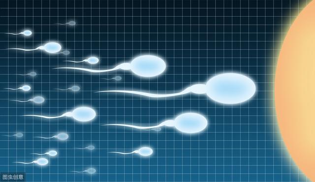 超级宝妈|受孕时，生男生女全靠y染色体，婆婆再念叨就把这篇文章甩给她