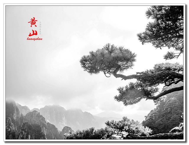 趣旅游■雾中的黄山，那种极致的美丽，不是所有到黄山的人都有机缘看到的