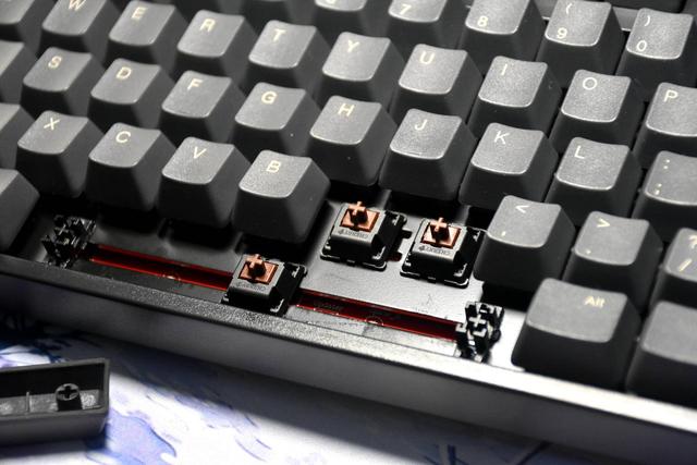 忘掉光污染回归打字本源！Cherry原厂轴超高性价比是真的香