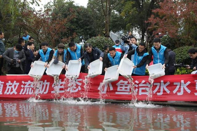 杭州未来科技城：万鱼活水水更美