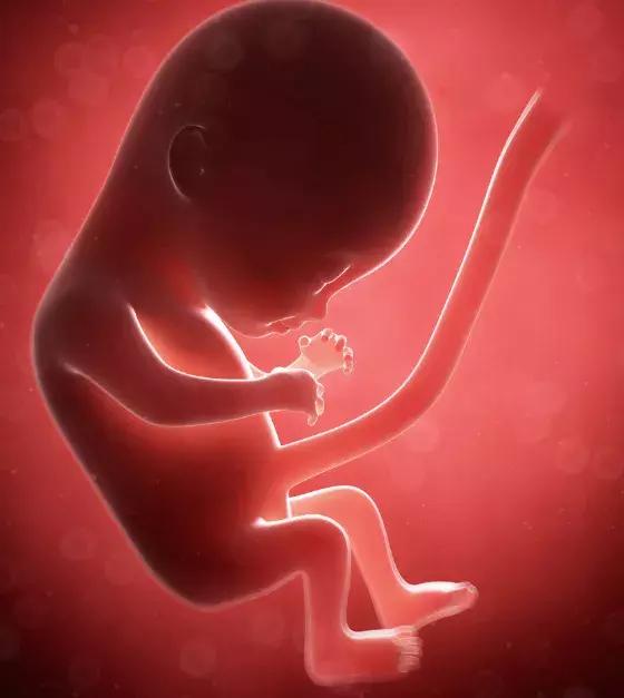 「你的育儿经」孕妇怀孕六个月，洗个澡导致“胎停”，孕期洗澡这四点可别忽视