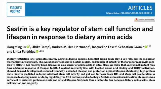 《Nature》子刊文章明确饮食限制机制，吃的越少，活的越久