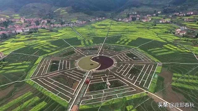 「旅行百事通」贵州枇杷村八卦园,81种植物组成320亩八卦图,一年四季各不同