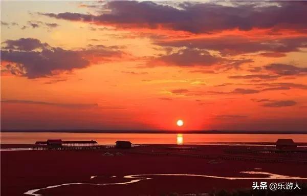 #行路万里#辽宁竟私藏了一片颜值超高的红海滩