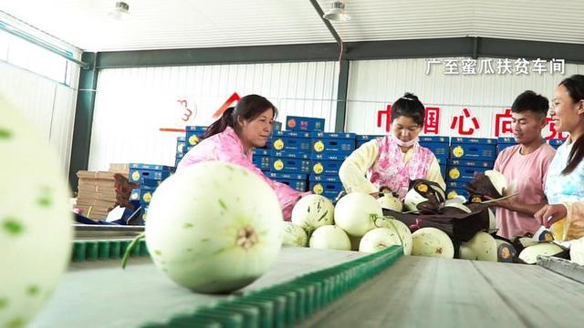 新华网客户端瓜州县:壮大多元富民产业 巩固提升脱贫成果