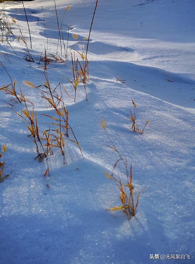 亲爱的，你那里下雪了吗？