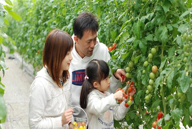 孩子说大话，父母回应童言无忌坐视不管，实则暴风雨前兆