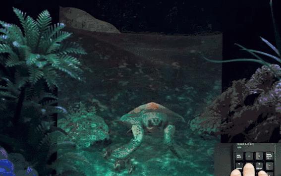 你看到的“马云”是假的，不过三星这次倒是整了点真东西