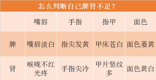 发现|中医圈里的“养生秘笈”，早晚一杯保肾汤，健脾护肾、补气养阴