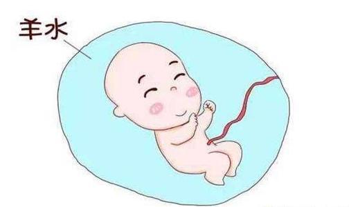 「你的育儿经」和妈妈合体的日子，胎儿在肚子里都做些啥？原来活动竟如此丰富