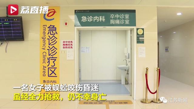 咬伤|蜈蚣咬一口，女子窒息身亡！医生：第一时间应这样做