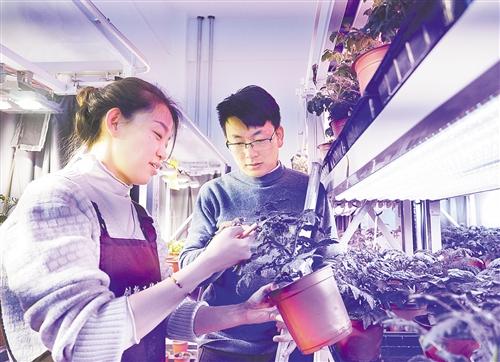 稀土|特色筑巢 产业蝶变