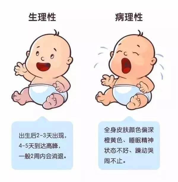 你的育儿经：宝宝黄疸记