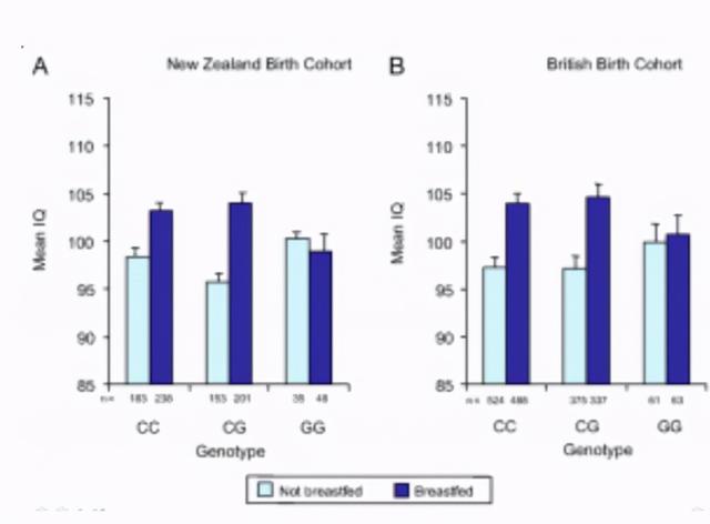 吃母乳的宝宝更聪明？耶鲁教授：一个谣言，让妈妈多受这么多罪