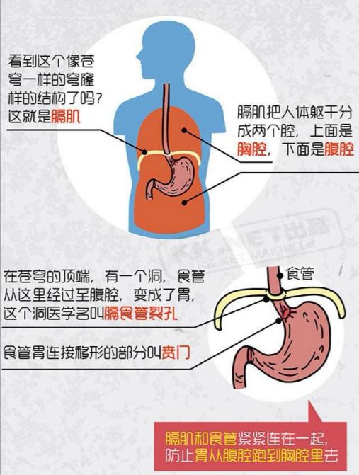 「广州日报」1岁幼儿频繁呕吐，医院一检查，胃不见了