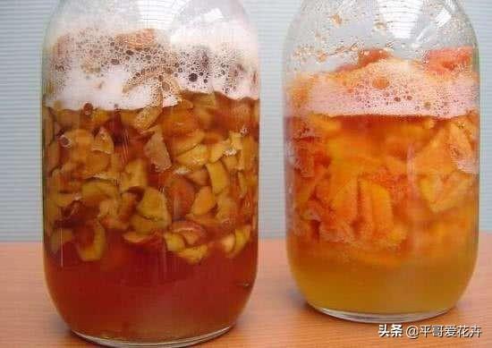鸡蛋壳|还在买花肥？这“3种垃圾”扔盆里，肥效足，植物生长快、易爆盆