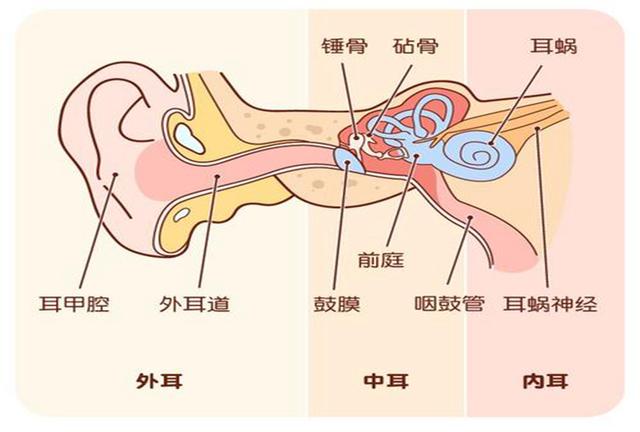 宝宝耳垢有大用处，“乱挖耳”恐适得其反，妈妈别再“手欠”了