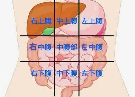 疾病|今天我们来聊聊各种肚子疼